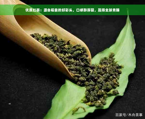 优质红茶：源自福鼎的好彩头，口感醇厚回，赢得全球青睐