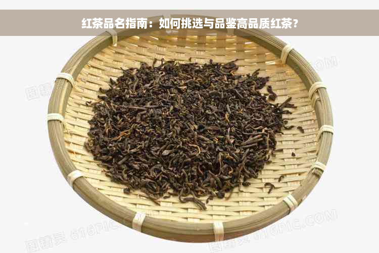 红茶品名指南：如何挑选与品鉴高品质红茶？