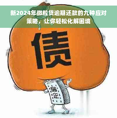 新2024年微粒贷逾期还款的九种应对策略，让你轻松化解困境