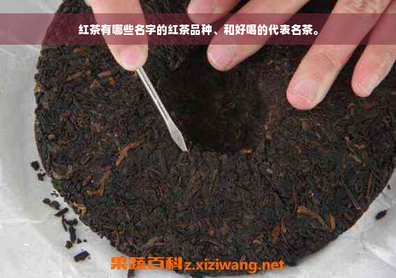 红茶有哪些名字的红茶品种、和好喝的代表名茶。