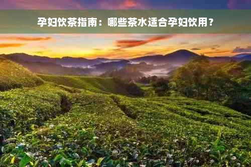 孕妇饮茶指南：哪些茶水适合孕妇饮用？