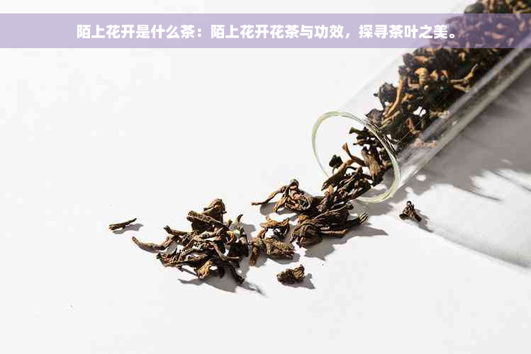 陌上花开是什么茶：陌上花开花茶与功效，探寻茶叶之美。