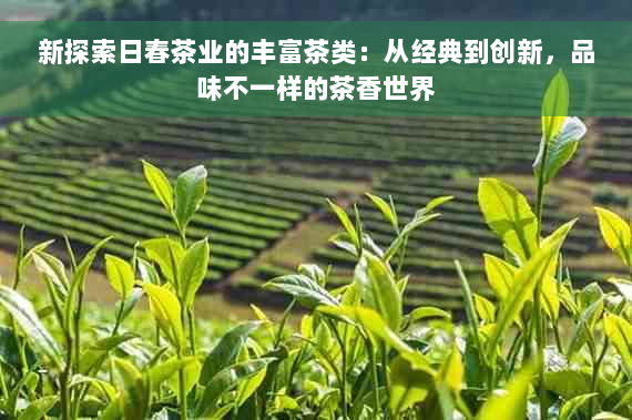 新探索日春茶业的丰富茶类：从经典到创新，品味不一样的茶香世界