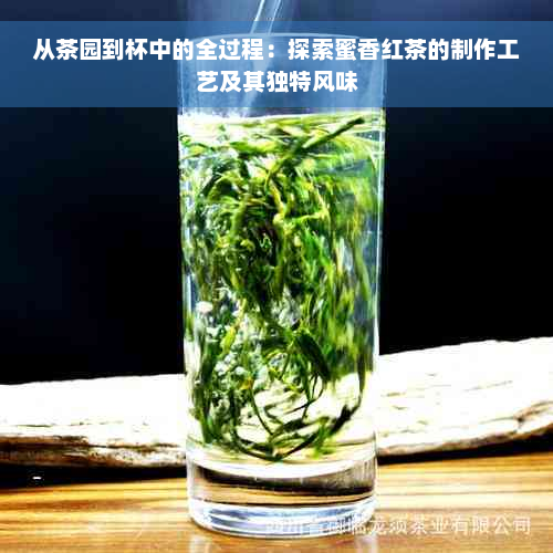 从茶园到杯中的全过程：探索蜜香红茶的制作工艺及其独特风味