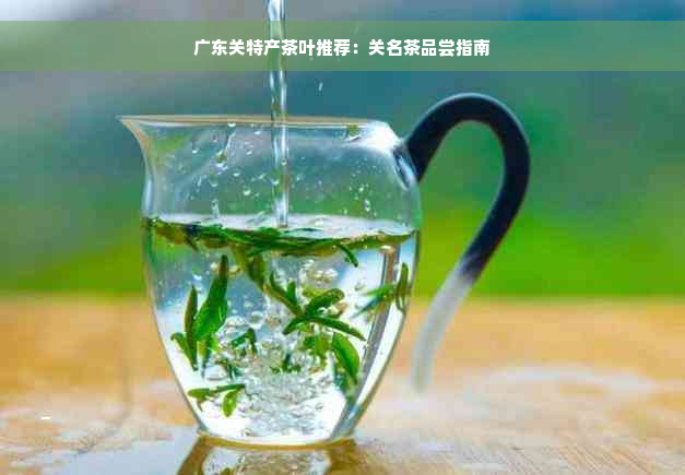 广东关特产茶叶推荐：关名茶品尝指南