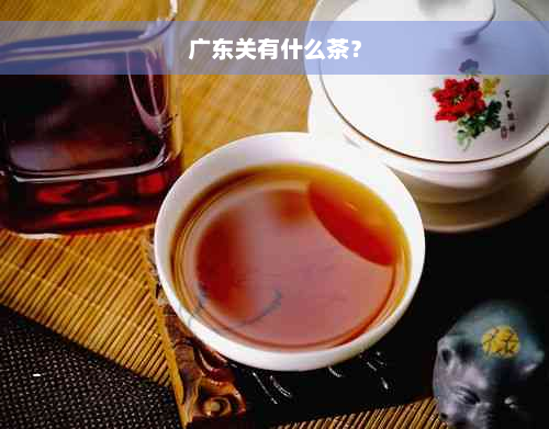 广东关有什么茶？