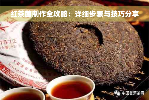 红茶菌制作全攻略：详细步骤与技巧分享