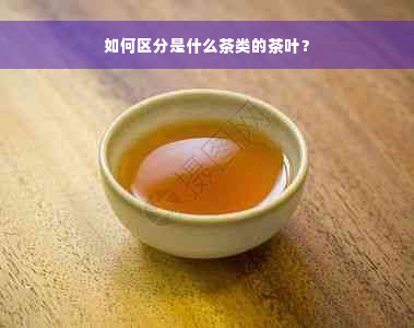 如何区分是什么茶类的茶叶？