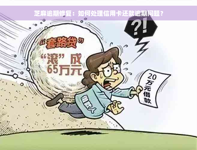 芝麻逾期修复：如何处理信用卡还款逾期问题？