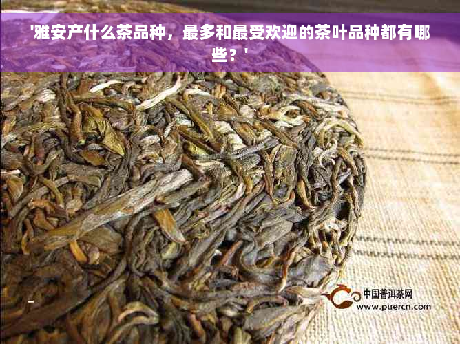 '雅安产什么茶品种，最多和更受欢迎的茶叶品种都有哪些？'