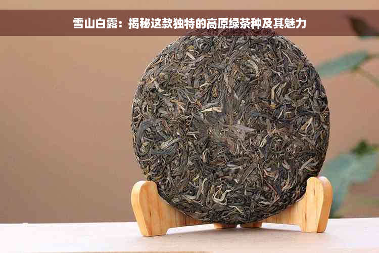 雪山白露：揭秘这款独特的高原绿茶种及其魅力