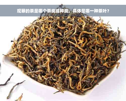 观察的茶是哪个茶类或种类，具体是哪一种茶叶？