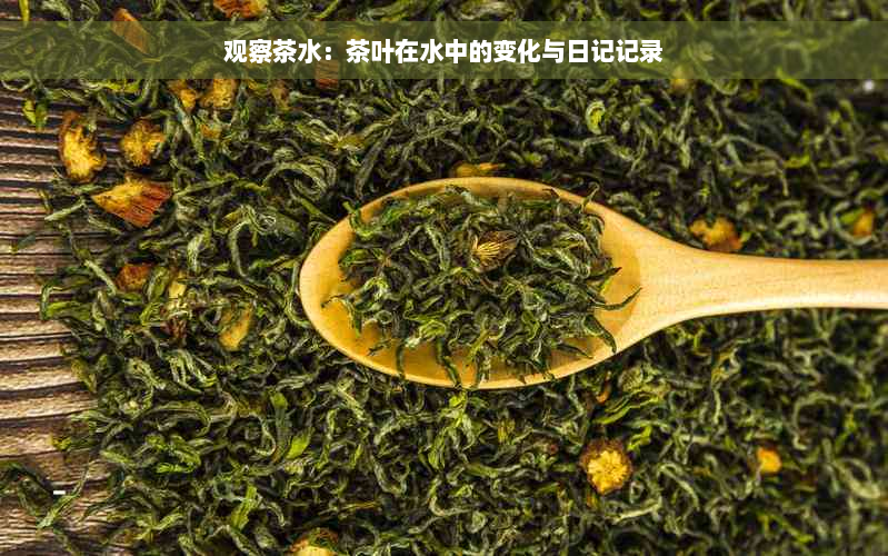 观察茶水：茶叶在水中的变化与日记记录