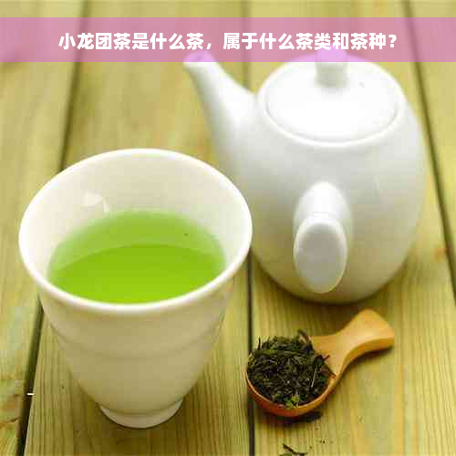 小龙团茶是什么茶，属于什么茶类和茶种？