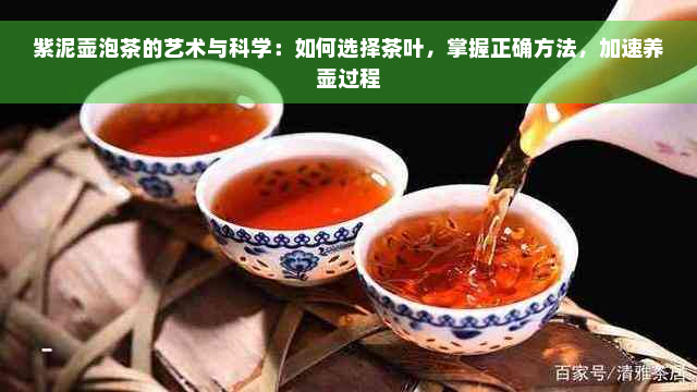 紫泥壶泡茶的艺术与科学：如何选择茶叶，掌握正确方法，加速养壶过程