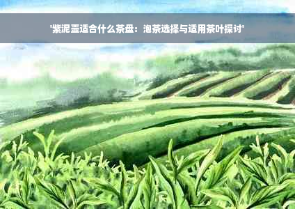 '紫泥壶适合什么茶盘：泡茶选择与适用茶叶探讨'