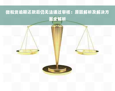 微粒贷逾期还款后仍无法通过审核：原因解析及解决方案全解析