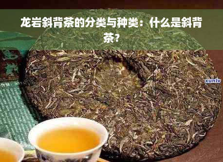 龙岩斜背茶的分类与种类：什么是斜背茶？