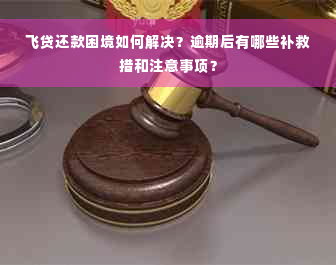 飞贷还款困境如何解决？逾期后有哪些补救措和注意事项？