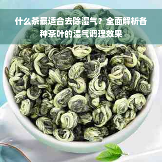 什么茶最适合去除湿气？全面解析各种茶叶的湿气调理效果