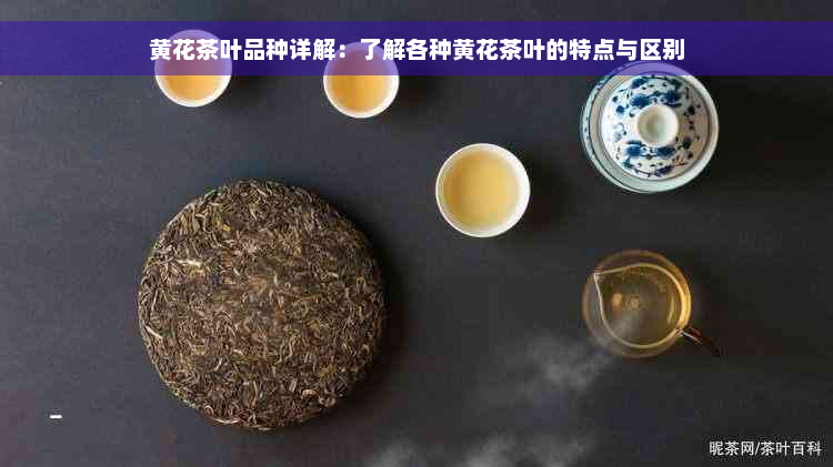 黄花茶叶品种详解：了解各种黄花茶叶的特点与区别