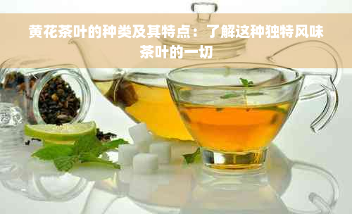 黄花茶叶的种类及其特点：了解这种独特风味茶叶的一切