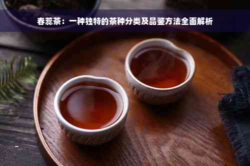 春蕊茶：一种独特的茶种分类及品鉴方法全面解析