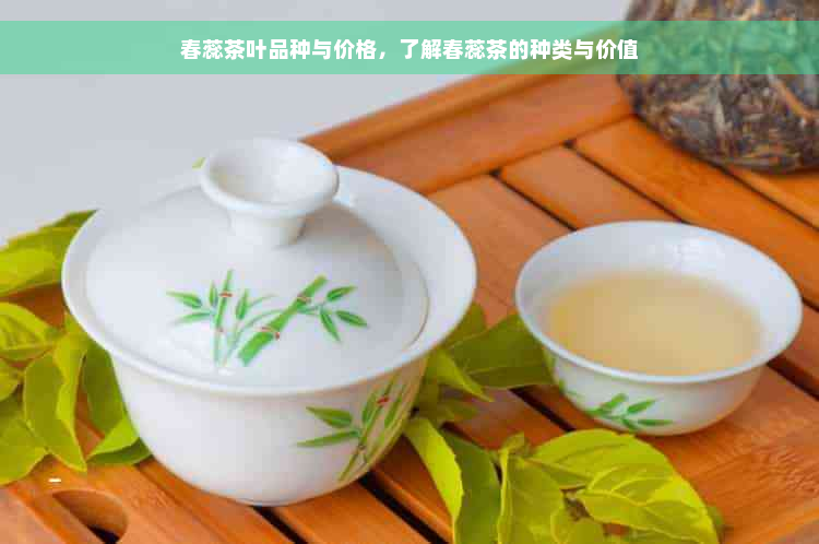 春蕊茶叶品种与价格，了解春蕊茶的种类与价值