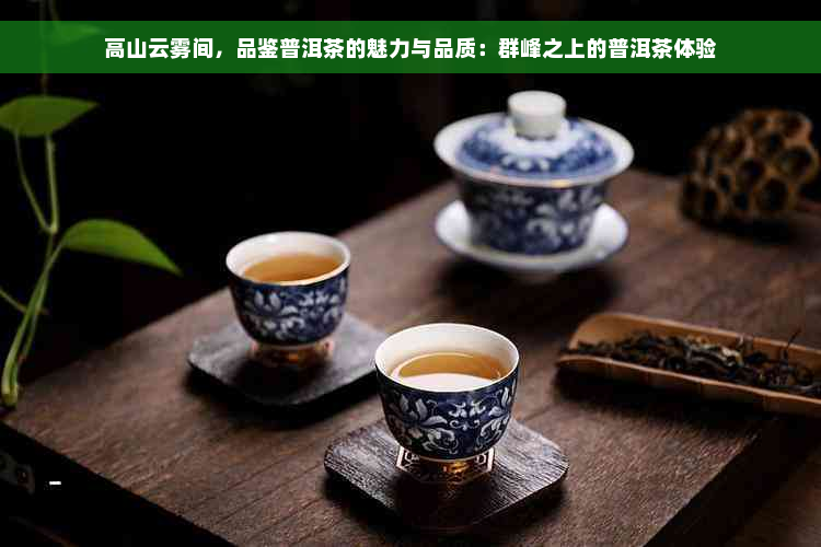 高山云雾间，品鉴普洱茶的魅力与品质：群峰之上的普洱茶体验