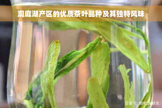 洞庭湖产区的优质茶叶品种及其独特风味