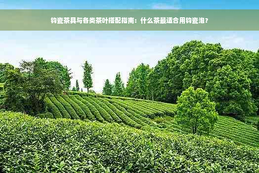 钧瓷茶具与各类茶叶搭配指南：什么茶最适合用钧瓷泡？