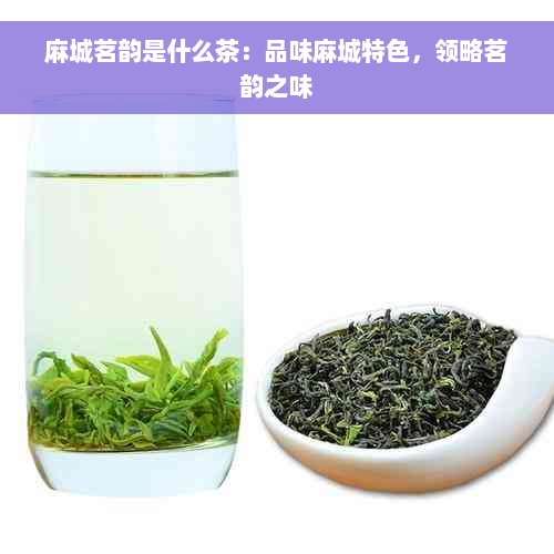 麻城茗韵是什么茶：品味麻城特色，领略茗韵之味