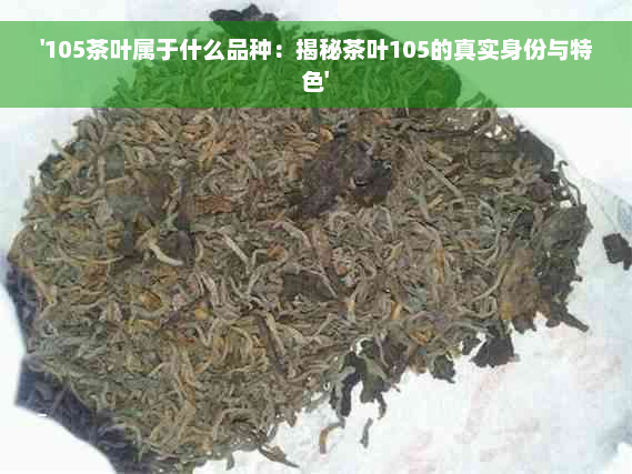 '105茶叶属于什么品种：揭秘茶叶105的真实身份与特色'