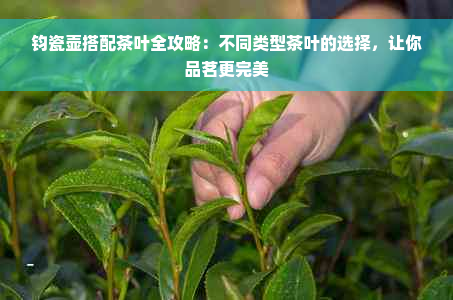 钧瓷壶搭配茶叶全攻略：不同类型茶叶的选择，让你品茗更完美