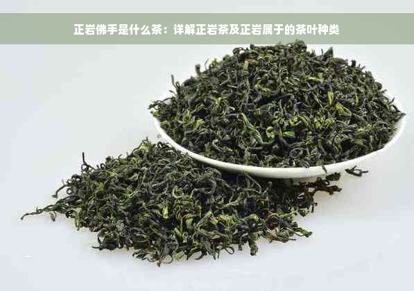 正岩佛手是什么茶：详解正岩茶及正岩属于的茶叶种类