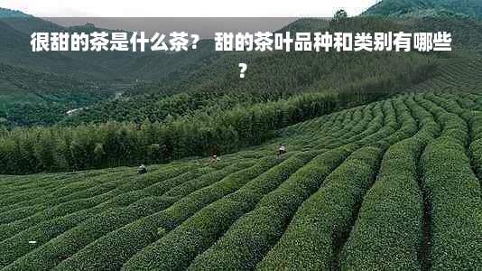 很甜的茶是什么茶？ 甜的茶叶品种和类别有哪些？