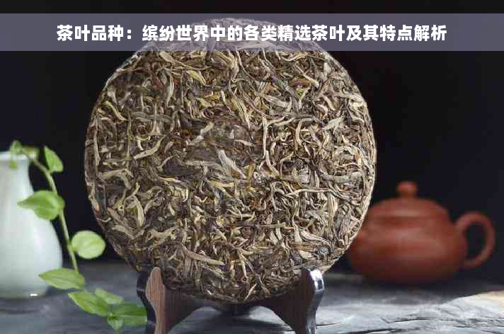 茶叶品种：缤纷世界中的各类精选茶叶及其特点解析