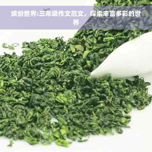 缤纷世界:三年级作文范文，探索丰富多彩的世界