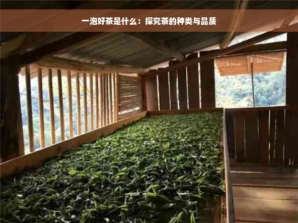 一泡好茶是什么：探究茶的种类与品质