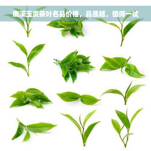 鹿溪玉贡茶叶名品价格，品质越，值得一试