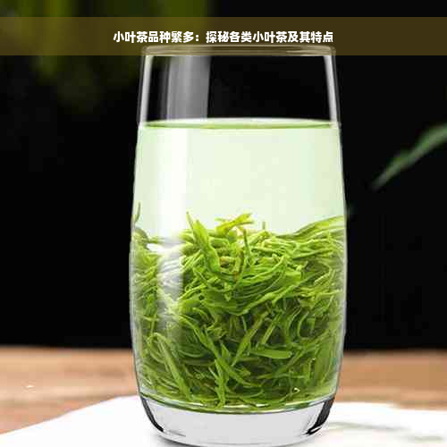 小叶茶品种繁多：探秘各类小叶茶及其特点