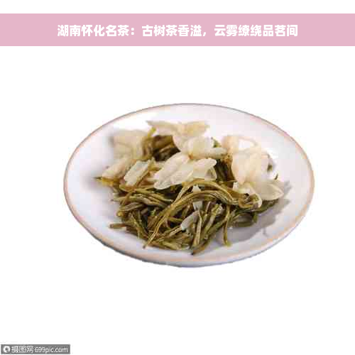 湖南怀化名茶：古树茶香溢，云雾缭绕品茗间