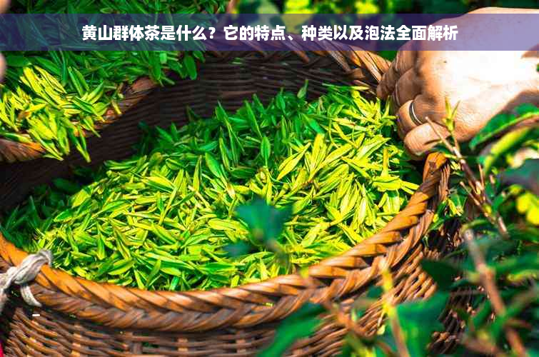 黄山群体茶是什么？它的特点、种类以及泡法全面解析