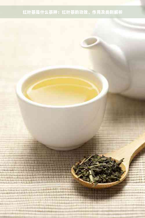 红叶茶是什么茶种：红叶茶的功效、作用及类别解析