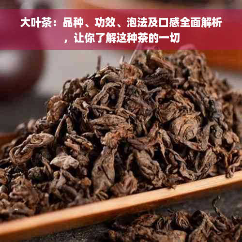 大叶茶：品种、功效、泡法及口感全面解析，让你了解这种茶的一切