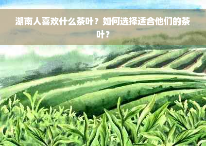 湖南人喜欢什么茶叶？如何选择适合他们的茶叶？