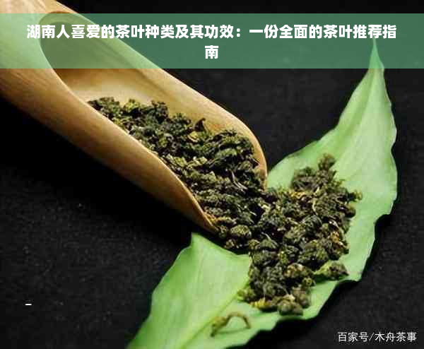 湖南人喜爱的茶叶种类及其功效：一份全面的茶叶推荐指南