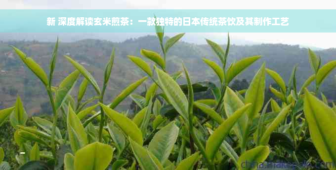 新 深度解读玄米煎茶：一款独特的日本传统茶饮及其制作工艺