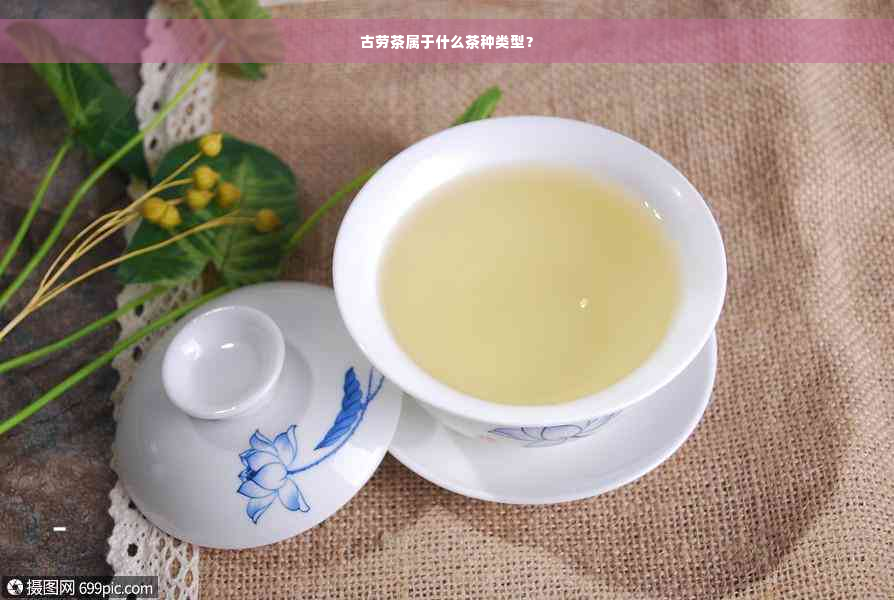 古劳茶属于什么茶种类型？