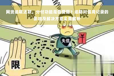 网贷逾期还款，分付功能是否受限？逾期对信用记录的影响及解决方案全面解析